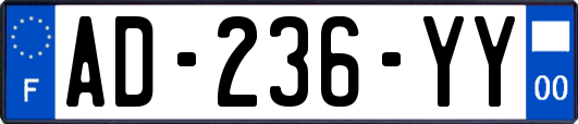 AD-236-YY