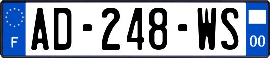 AD-248-WS