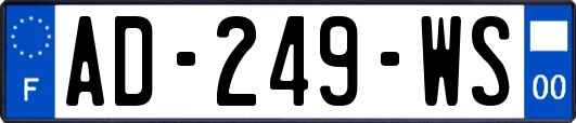 AD-249-WS