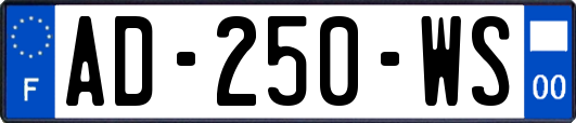 AD-250-WS