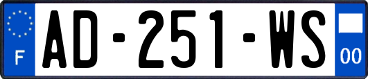 AD-251-WS