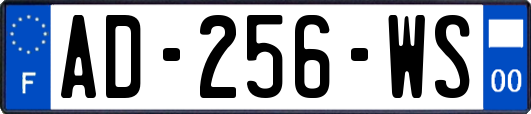 AD-256-WS