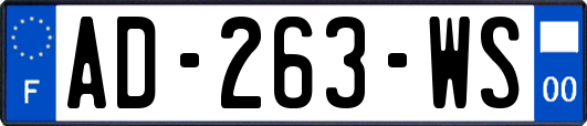 AD-263-WS