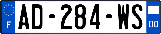 AD-284-WS