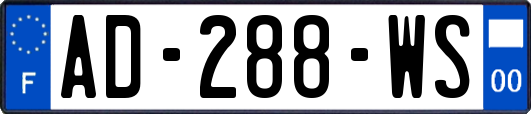 AD-288-WS