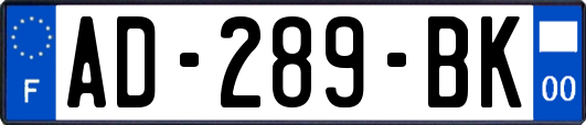 AD-289-BK