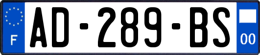 AD-289-BS