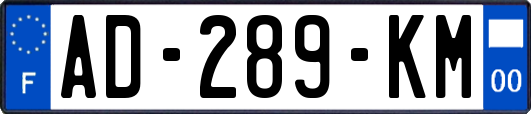 AD-289-KM