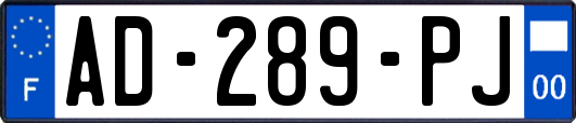 AD-289-PJ