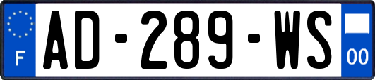AD-289-WS