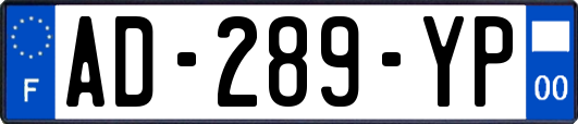 AD-289-YP
