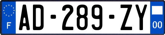 AD-289-ZY
