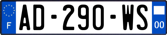 AD-290-WS