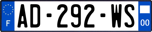 AD-292-WS