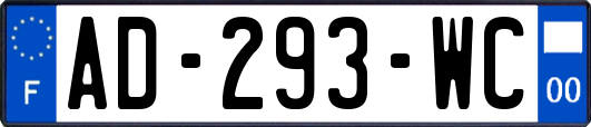 AD-293-WC