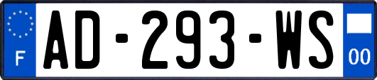 AD-293-WS