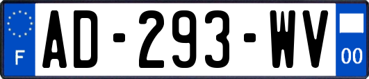 AD-293-WV