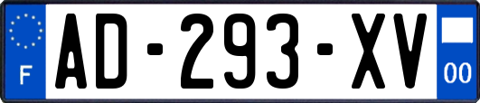 AD-293-XV