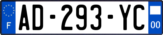 AD-293-YC