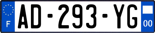 AD-293-YG