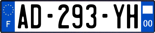 AD-293-YH