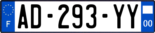 AD-293-YY