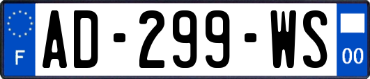 AD-299-WS