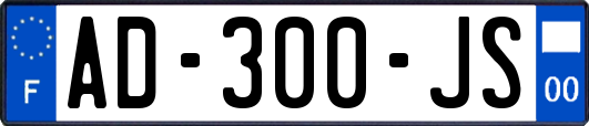 AD-300-JS