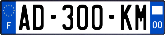 AD-300-KM