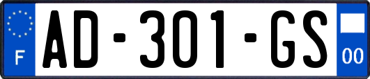 AD-301-GS