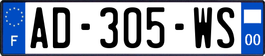 AD-305-WS
