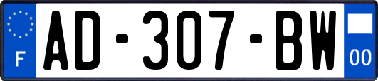 AD-307-BW