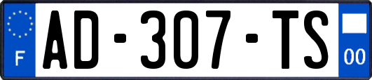 AD-307-TS