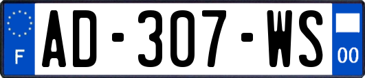 AD-307-WS