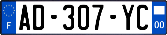 AD-307-YC