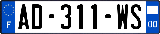 AD-311-WS