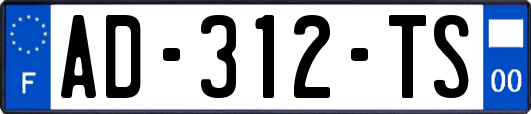 AD-312-TS