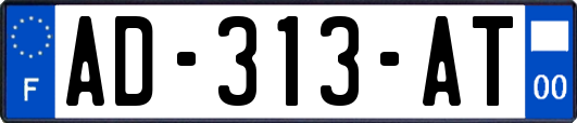 AD-313-AT
