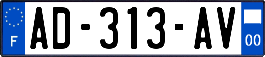 AD-313-AV
