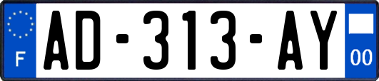 AD-313-AY