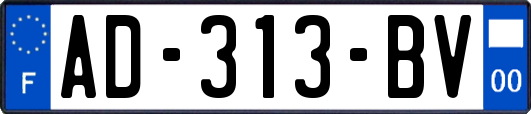 AD-313-BV