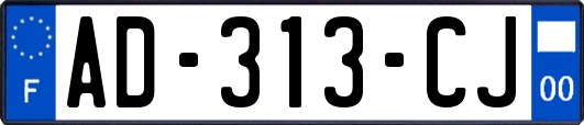 AD-313-CJ