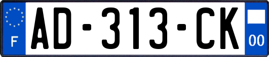 AD-313-CK