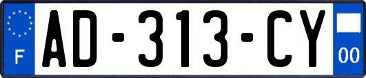 AD-313-CY