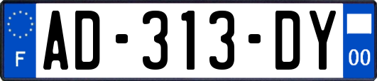 AD-313-DY