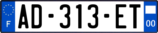 AD-313-ET