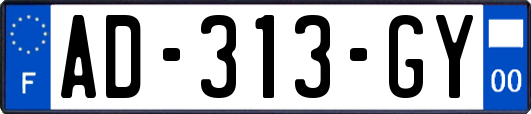 AD-313-GY