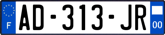 AD-313-JR