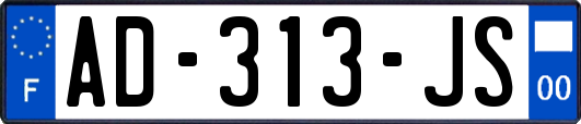 AD-313-JS