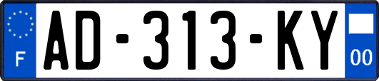 AD-313-KY